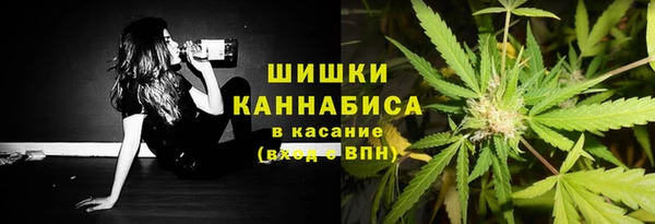 винт Магас