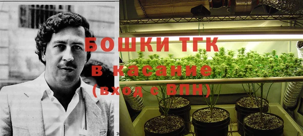прущие грибы Майский