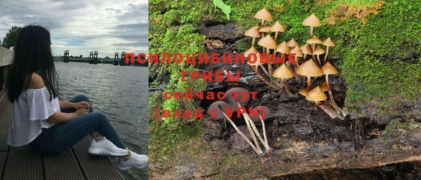 спиды Магадан