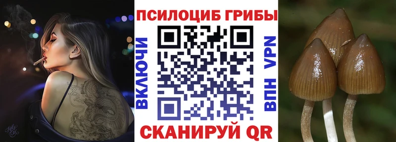 Галлюциногенные грибы мухоморы  Луховицы 