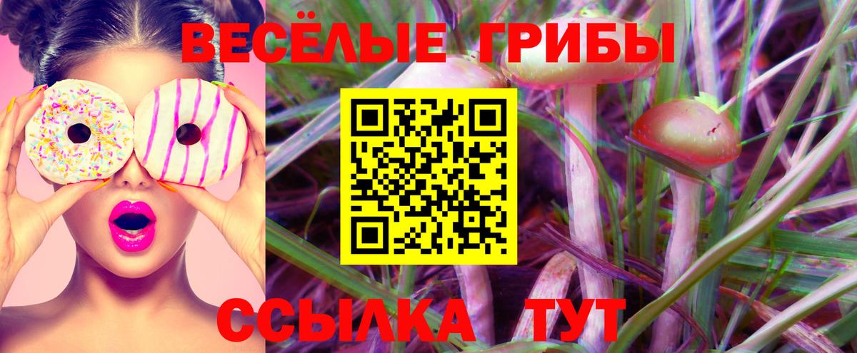 Галлюциногенные грибы Magic Shrooms  Вход с VPN  Луховицы 